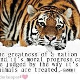 Humans, Morals, Progress